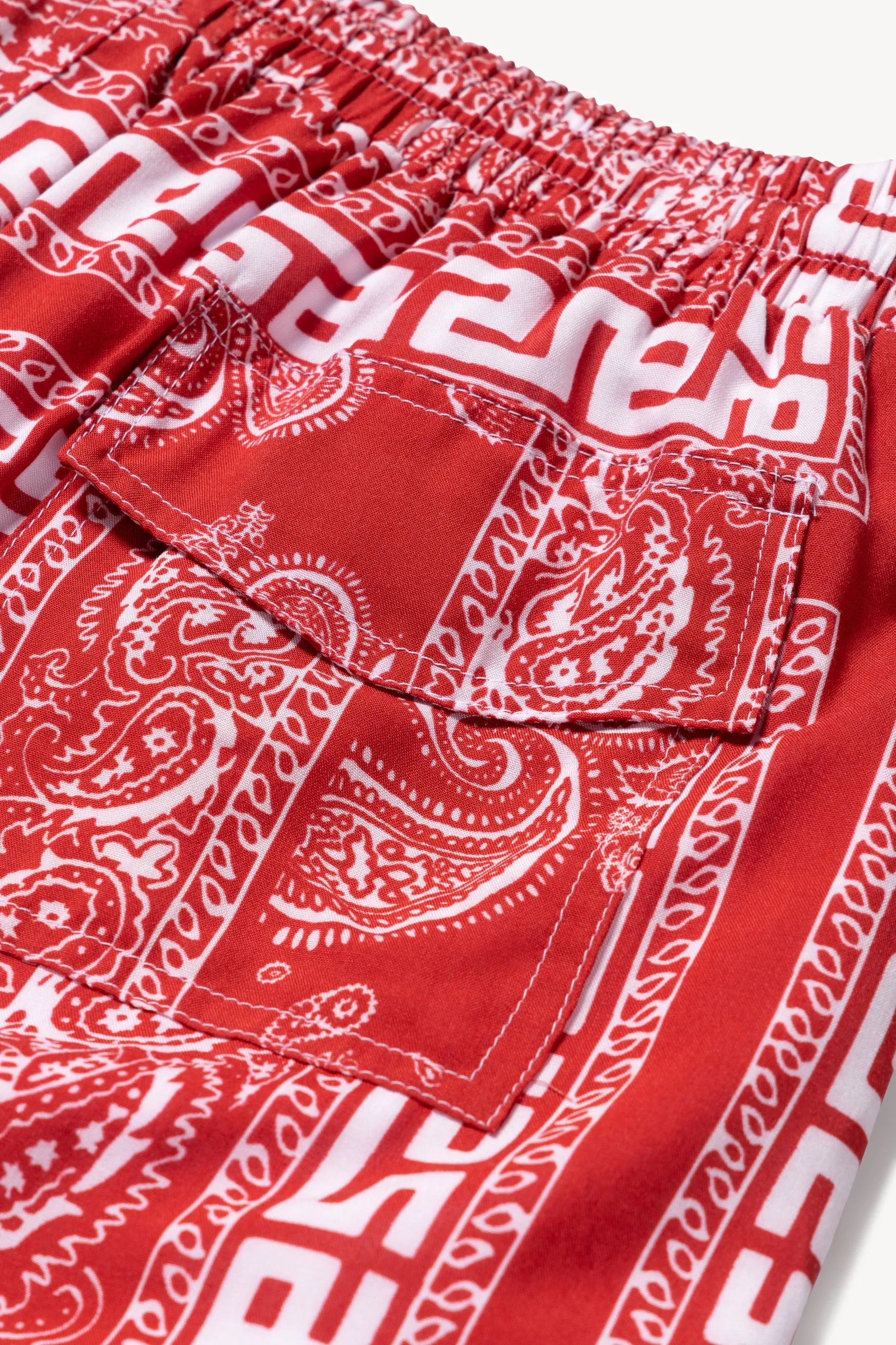 Bandana Print Board Shorts