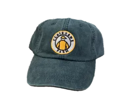 Claiborne Silks Patch Hat