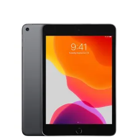 iPad Mini 5 256GB Space Gray (Wifi)